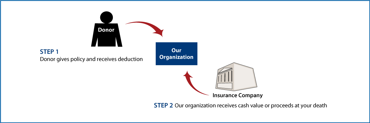 Life Insurance Policy Thumbnail